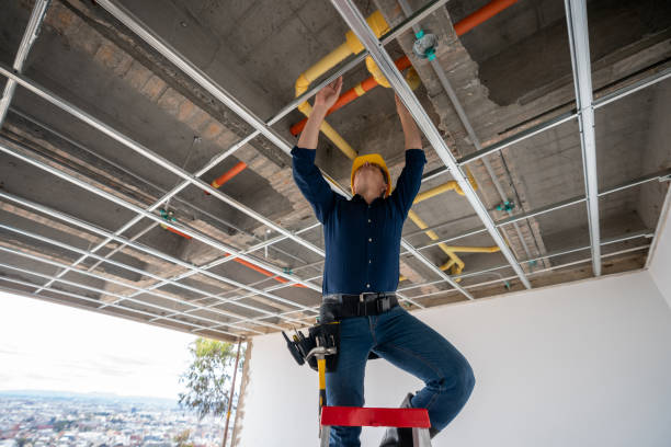 Best Best Plumbers Near Me  in Lake Summerset, IL