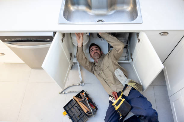 Best Same-Day Plumbing Service  in Lake Summerset, IL