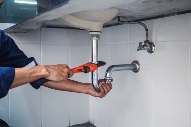 Best Plumbing Services Near Me  in Lake Summerset, IL