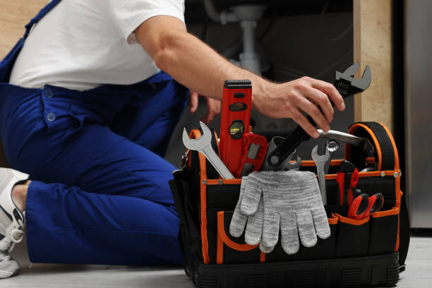 Best Plumbing Repair Near Me  in Lake Summerset, IL