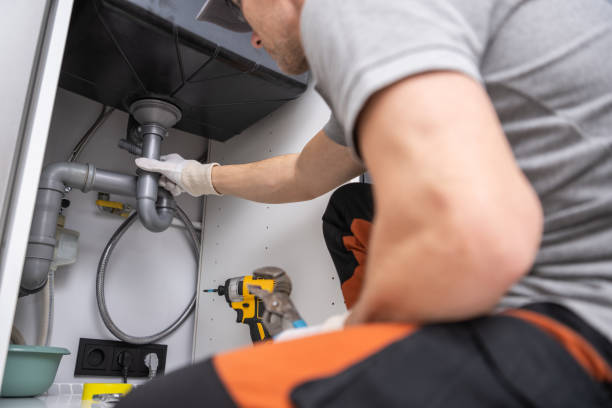 Best Plumbing Inspection Services  in Lake Summerset, IL