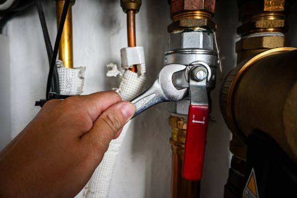 Best Emergency Plumbing Repair  in Lake Summerset, IL